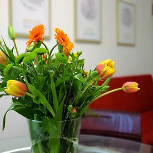 Apartment Filarmonico12, Verona